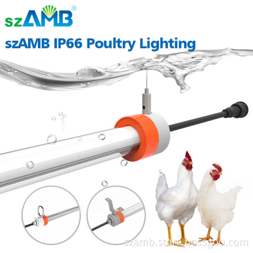 9w led tube light t8 34
